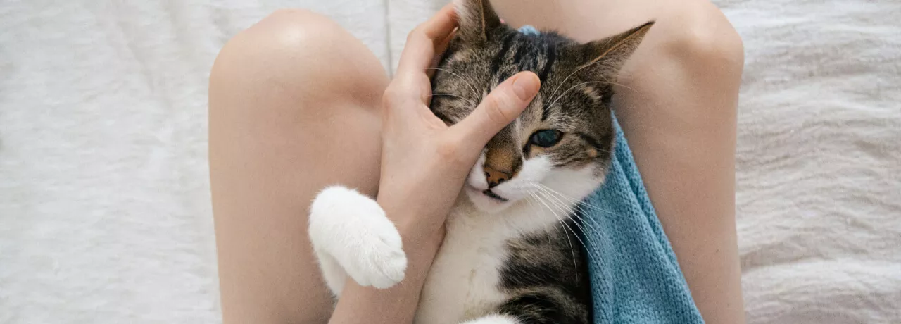 metode de calmare stres 