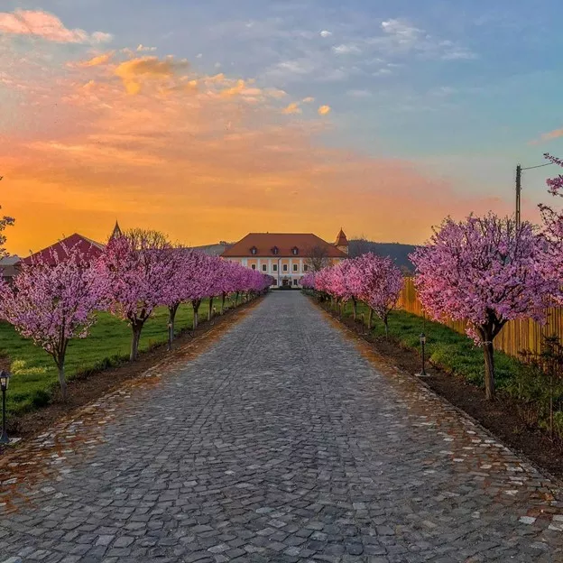 castel haller mures 