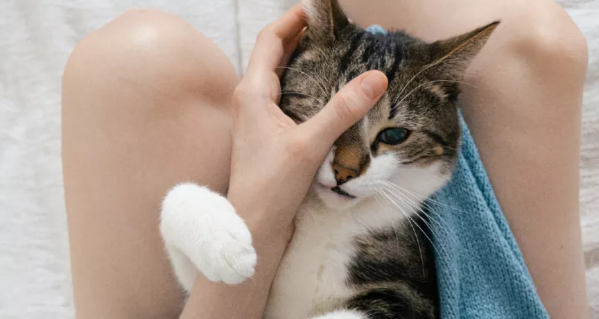 metode de calmare stres