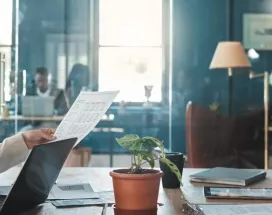 Resurse umane sau HR - doua femei la birou, laptop - Pluxee Romania