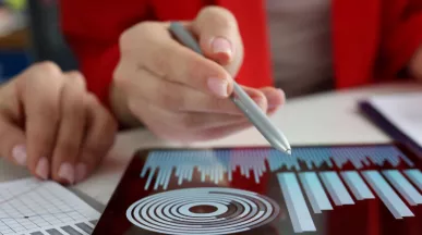 monografie contabila